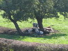 The view from Cowslip