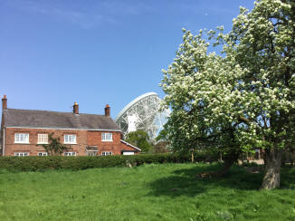 Bridge Farm